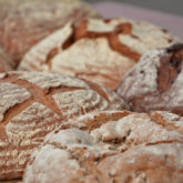 1_DSC_3785 1_DSC_3785